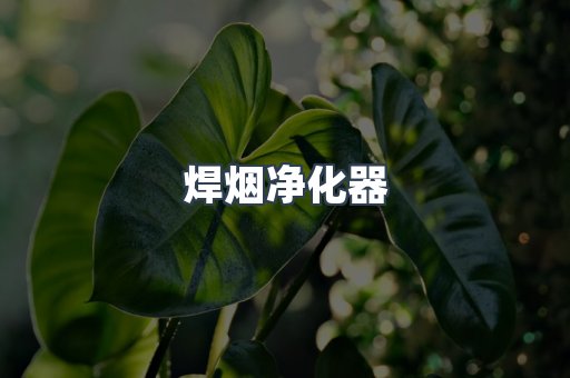 焊烟净化器